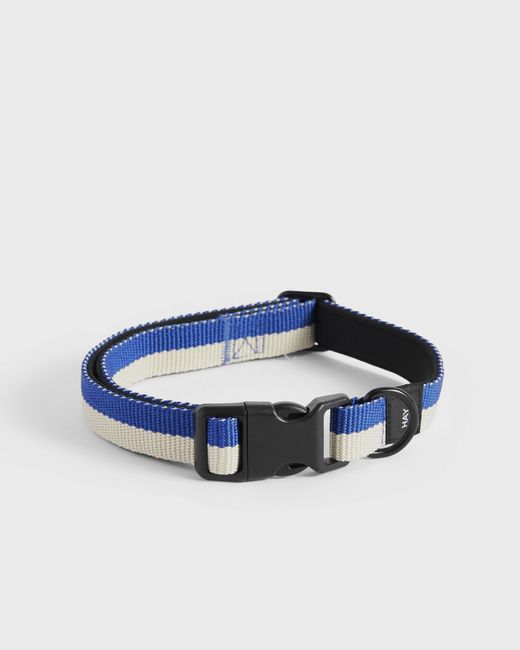 Hay Dogs Collar Flat male Cool Stuff now available