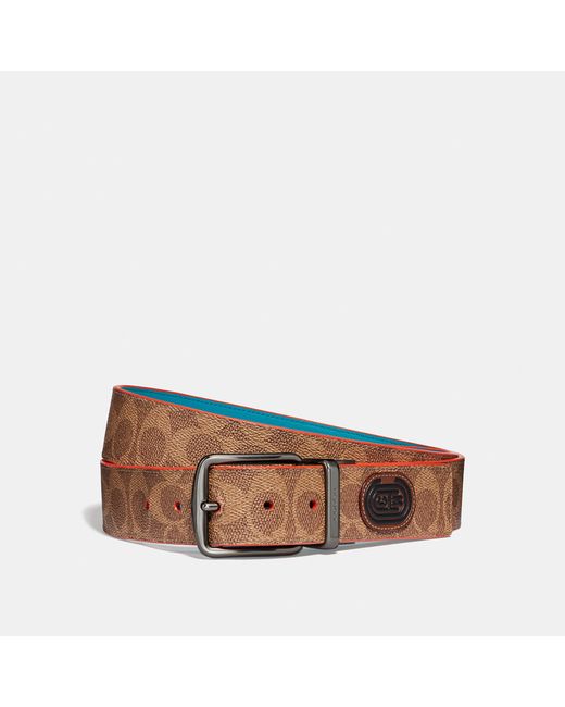 Coach Modern Active Cut-to Reversible Belt In Signature Canvas