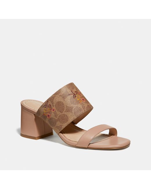 Coach Mae Mule With Floral Bow Print