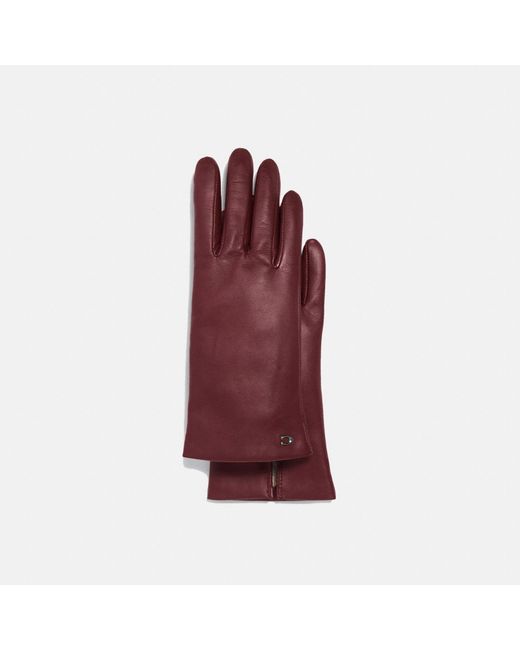 Coach Sculpted Signature Leather Tech Gloves in