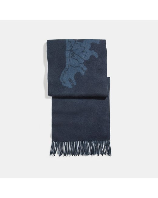 Coach Cashmere Bicolor Rexy And Carriage Scarf