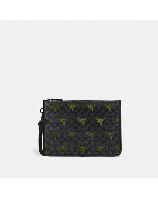 Coach Charter Pouch In Signature Canvas With Rexy Print