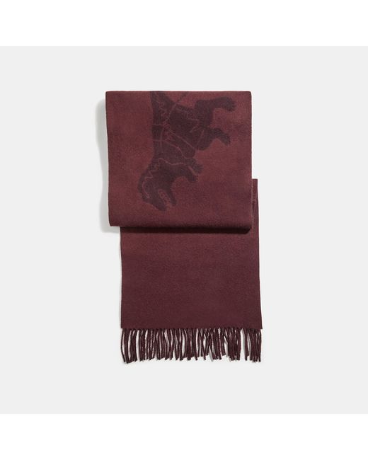 Coach Cashmere Bicolor Rexy And Carriage Scarf