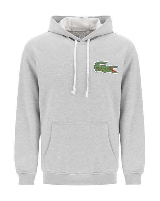 Comme Des Garçons Shirt Boy Lacoste big crocodile hoodie