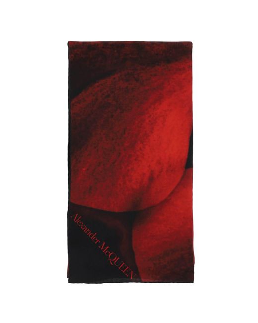 Alexander McQueen Orchid print scarf