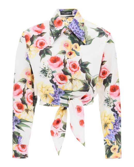 Dolce & Gabbana Rose Garden cropped shirt