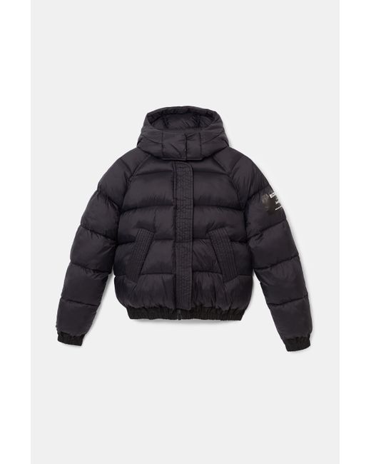 Desigual Short padded hooded jacket