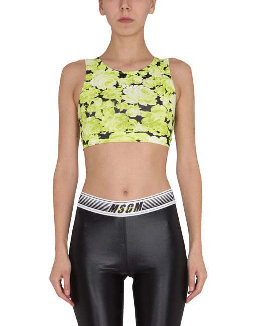 Msgm floral print cropped top