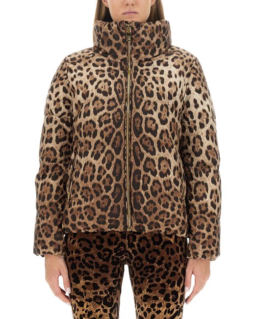 Dolce & Gabbana leopard print padded jacket