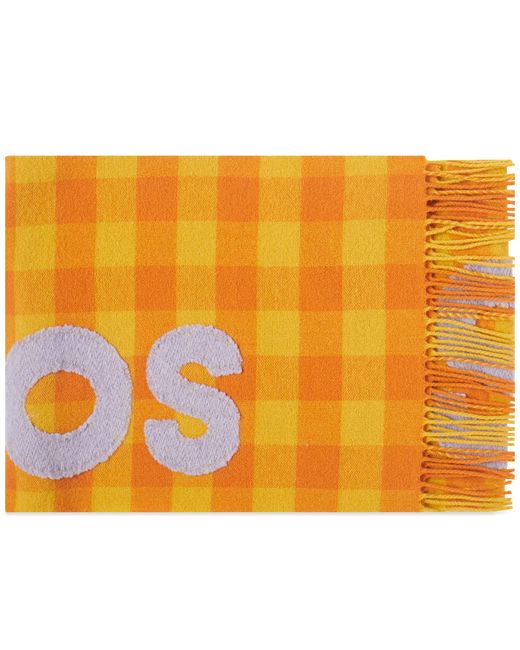 Acne Studios Veda Logo Check Scarf in END. Clothing