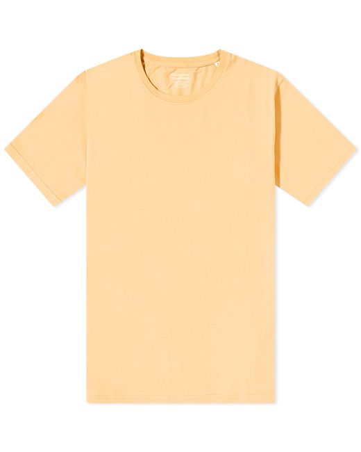 Colorful Standard Classic Organic T-Shirt in Large END. Clothing