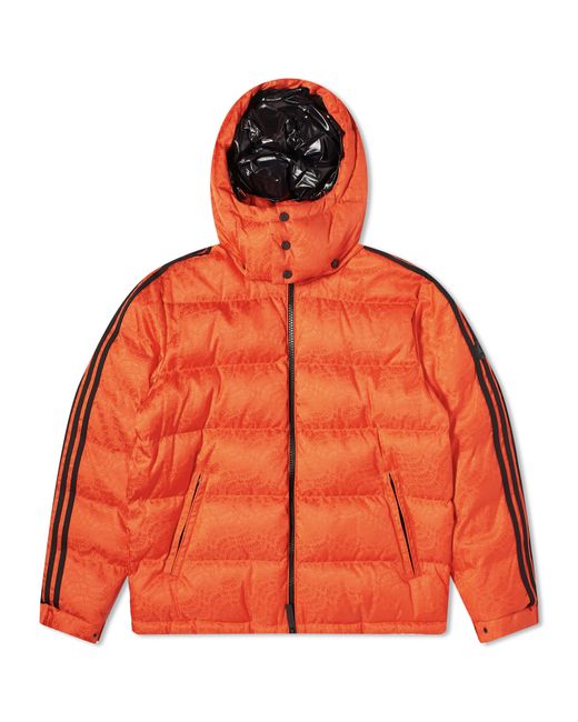 Moncler x adidas Originals Alpbach Down Jacket in END. Clothing
