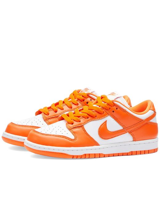 Nike Dunk Low Sp Sneakers in END. Clothing