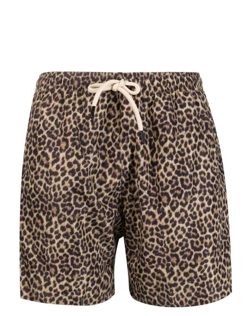 Matinèe leopard-print swim shorts