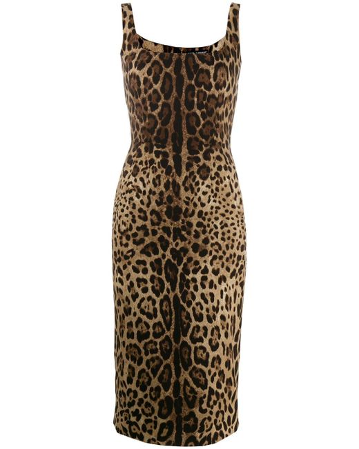 Dolce & Gabbana leopard print fitted dress