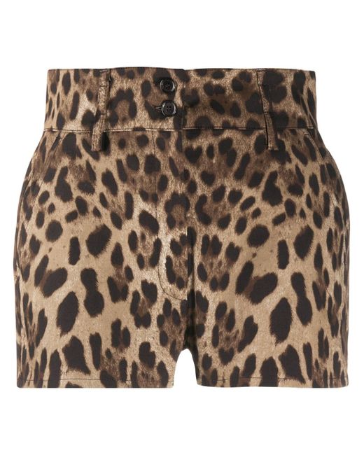 Dolce & Gabbana leopard print high-waisted shorts