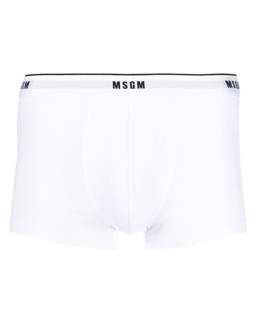 Msgm logo waistband briefs