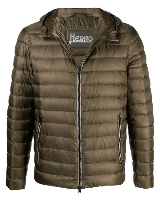 Herno padded hooded jacket