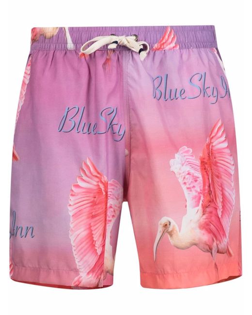 Blue Sky Inn motif-print swim shorts