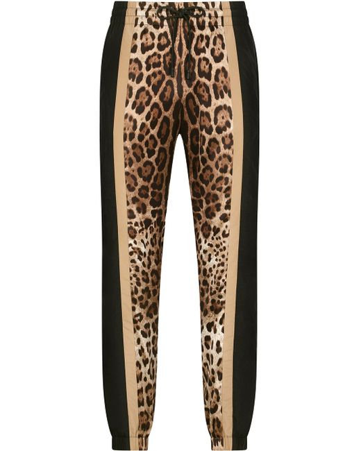 Dolce & Gabbana leopard-print sweatpants