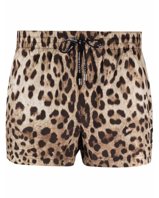 Dolce & Gabbana leopard-print logo-plaque swim shorts