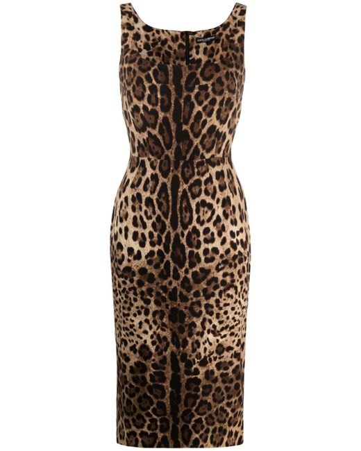 Dolce & Gabbana leopard-print square-neck fitted dress