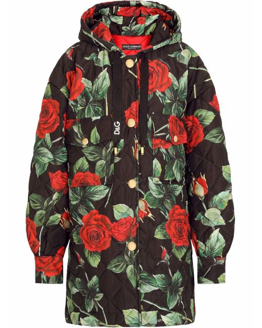 Dolce & Gabbana rose-print raincoat