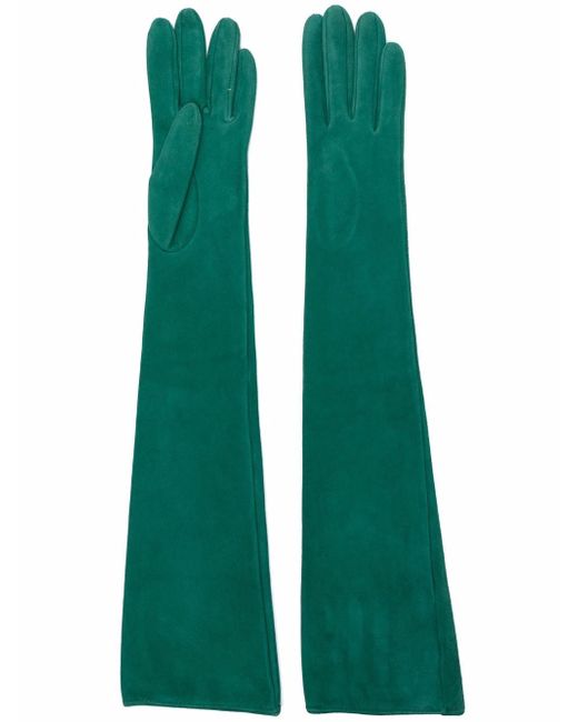 Manokhi long-length suede gloves