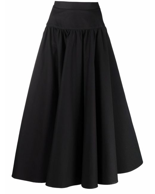 Roberto Cavalli A-line maxi skirt
