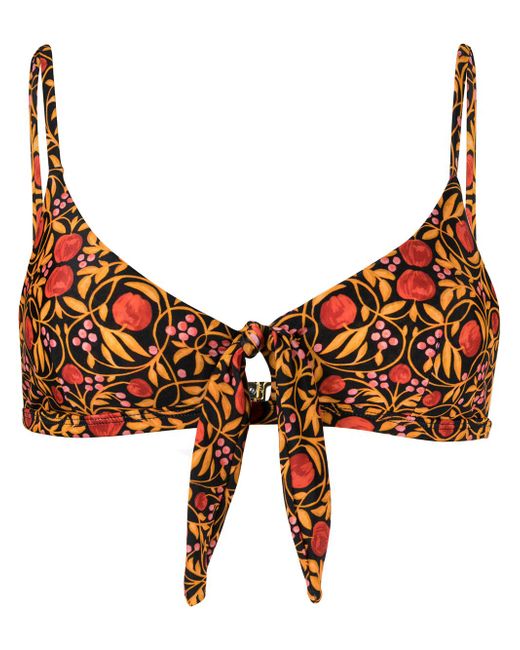 Rebecca Vallance Martine floral-print bikini top