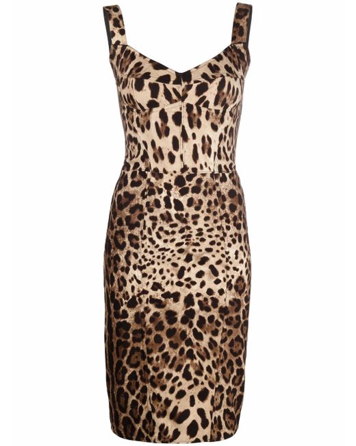 Dolce & Gabbana leopard-print sleeveless dress