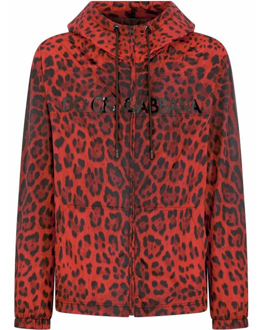 Dolce & Gabbana leopard-print hooded jacket