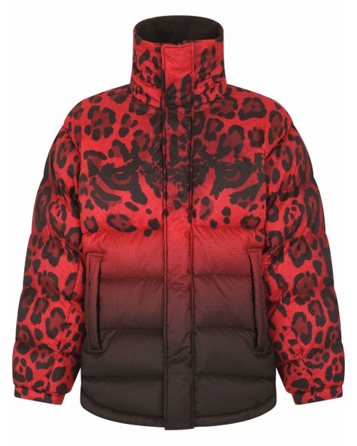 Dolce & Gabbana reversible animal-print puffer coat