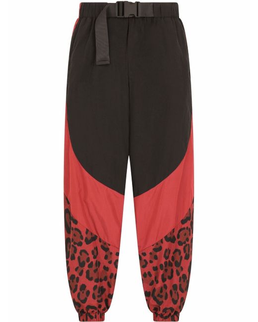 Dolce & Gabbana panelled leopard-print trousers