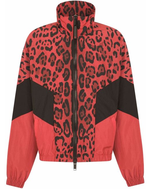 Dolce & Gabbana leopard-print panelled zip jacket