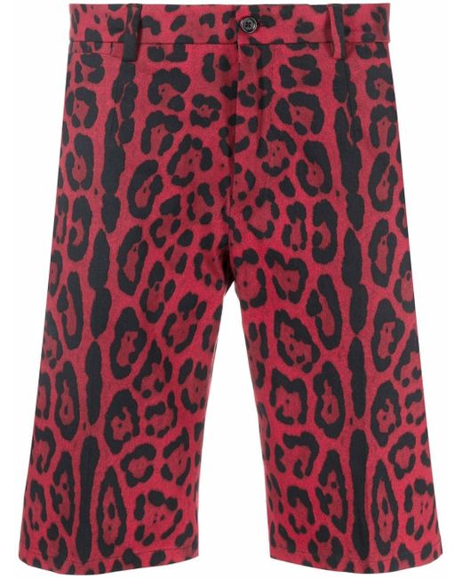 Dolce & Gabbana leopard-print tailored shorts