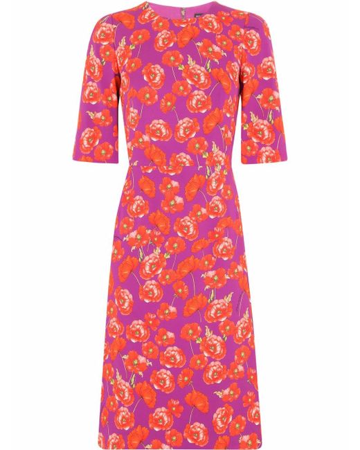 Dolce & Gabbana poppy-print three-quarter sleeve dress