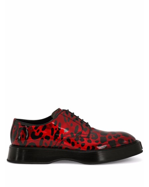 Dolce & Gabbana animal-print derby shoes