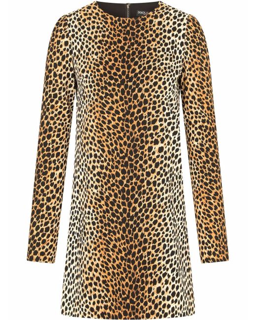 Dolce & Gabbana leopard print dress