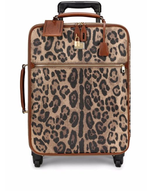 Dolce & Gabbana medium leopard-print Crespo trolley suitcase