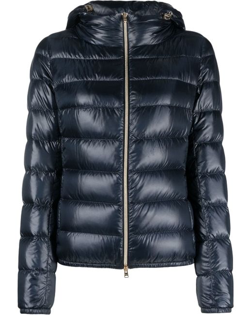 Herno down-feather padded jacket