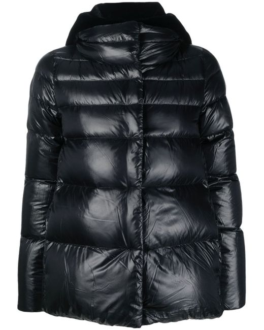 Herno quilted hooded puffer jacket
