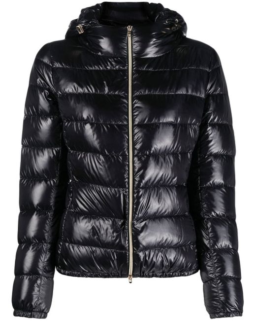 Herno down-feather padded jacket