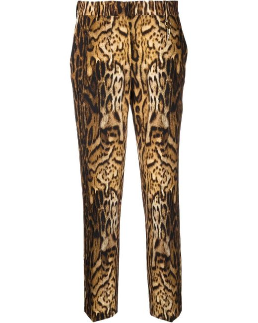 Roberto Cavalli cropped leopard print trousers