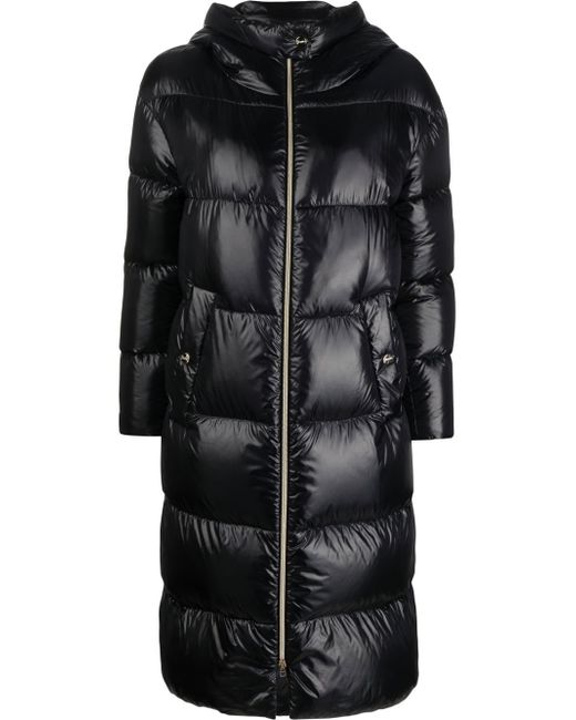Herno quilted padded zipped coat