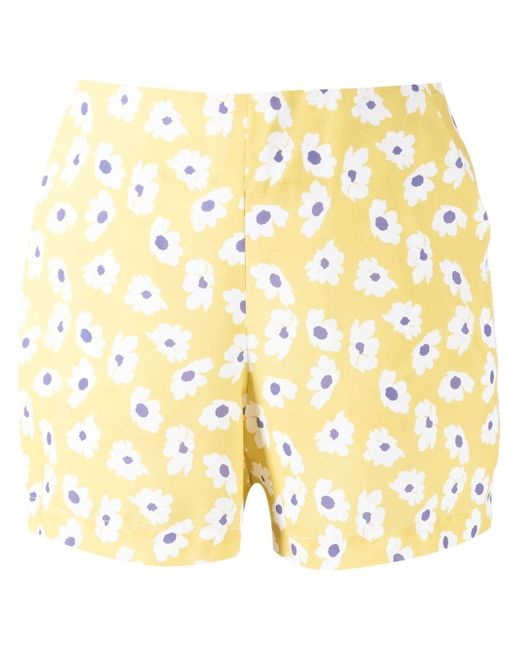 Bambah daisy-print shorts