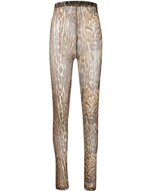 Roberto Cavalli leopard print sheer leggings