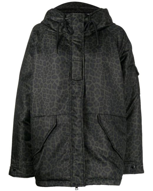 Moncler leopard print padded hooded jacket