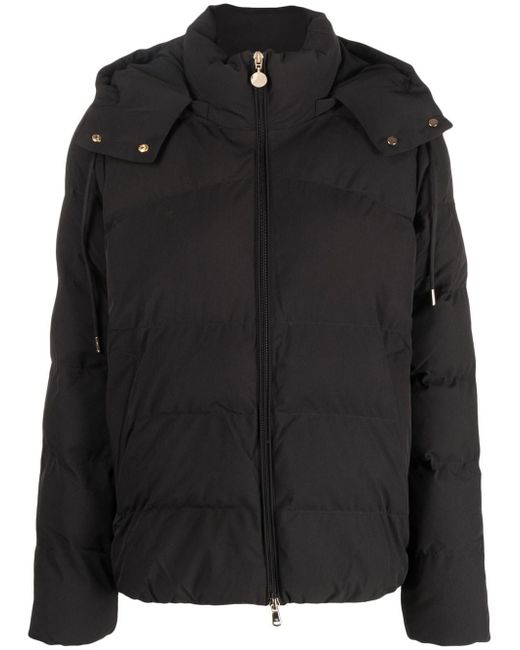 Ea7 hooded zip-up jacket