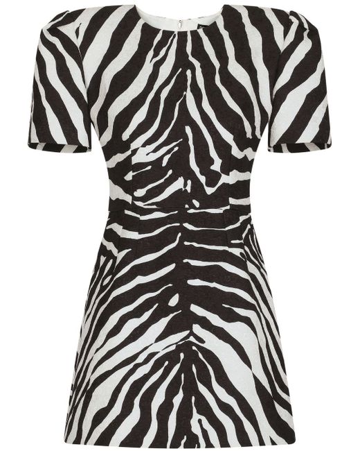 Dolce & Gabbana zebra-print short-sleeve dress